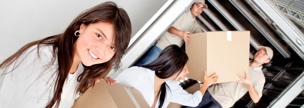 Professional Removalists Albion Park
